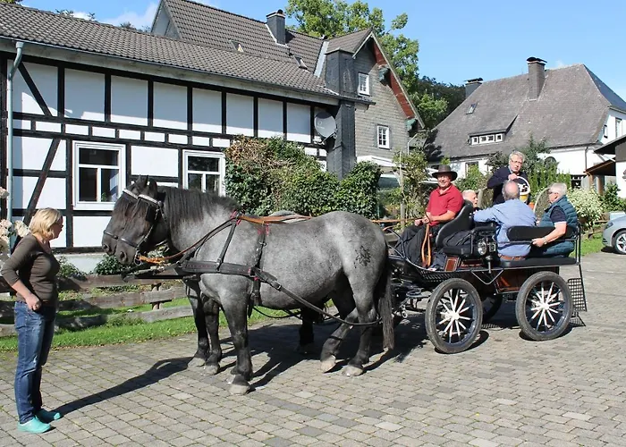 Mollseifer Hof Winterberg